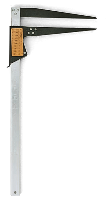 MITTASAKSET, 36 CM 5056947-30
